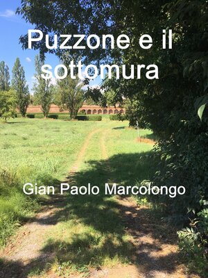 cover image of Puzzone e il sottomura